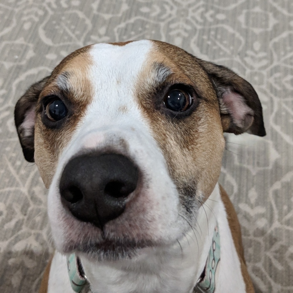 Meet your Posher, Kathi